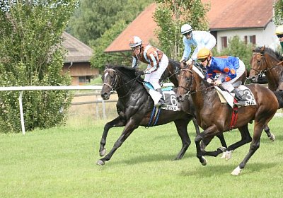 IMG 1244 600x400.jpg