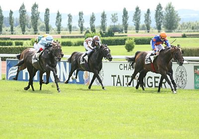 IMG 1262 600x400.jpg