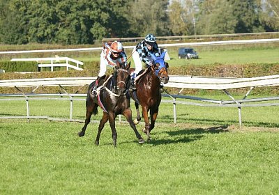 IMG 6830 600x400.jpg