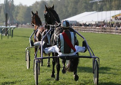 Da fahren sie von dannen