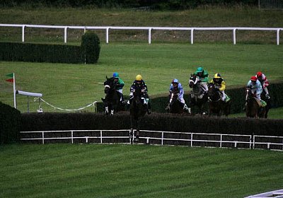 IMG 1623 600x400.jpg