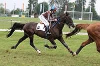 Saignel?gier 6. August 06