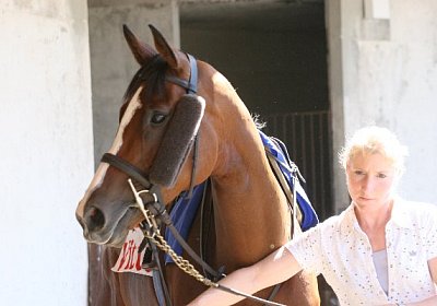 IMG 8412 600x400.jpg