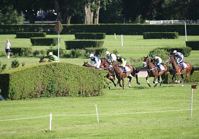 IMG 8459 600x400.jpg