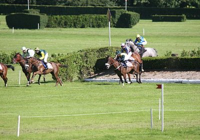 IMG 8460 600x400.jpg