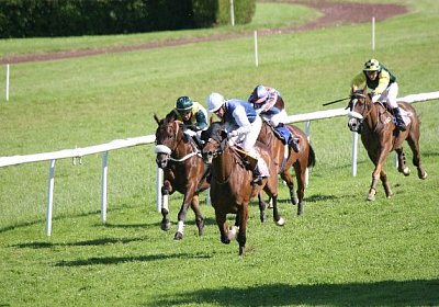 IMG 8475 600x400.jpg