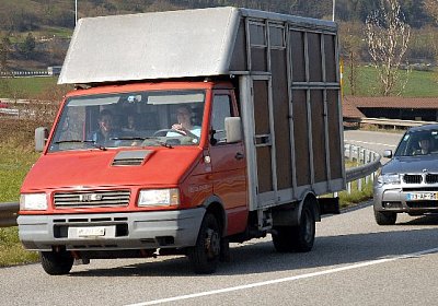 Da kommen sie ja endlich