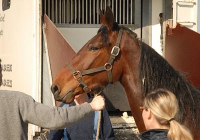Sieht elegant aus...