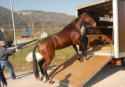 Und wieder einsteigen...
