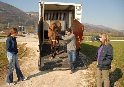 Gleich ist es soweit...