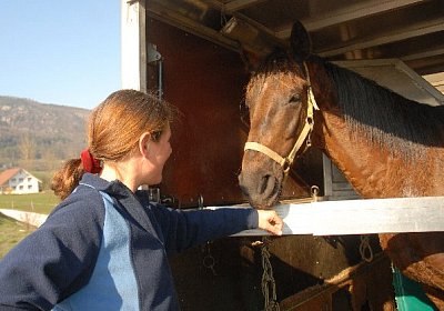 uw 15 reste 640x418.jpg