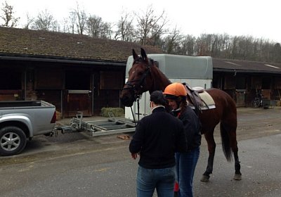 A Prince vor 4 (Kopie)